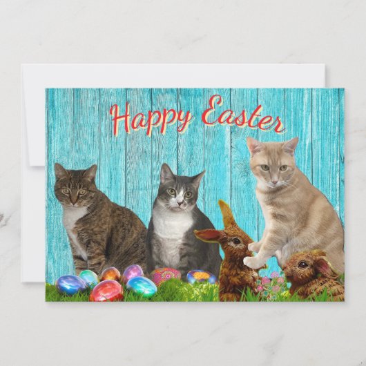 Oster-Flatcard - Katzen und Hasen Feiertagskarte (Vorderseite)
