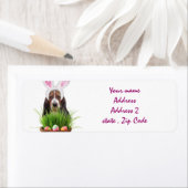 OsterBasset Hound (Insitu)