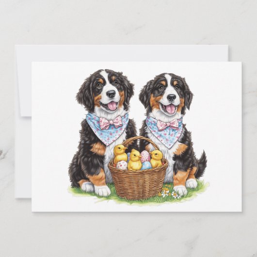 Osterberner Hunde Feiertagskarte (Vorderseite)
