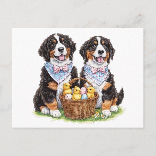 Osterberner Hunde Postkarte (Vorderseite)