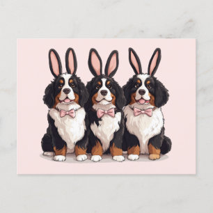Osterberner Hunde Postkarte