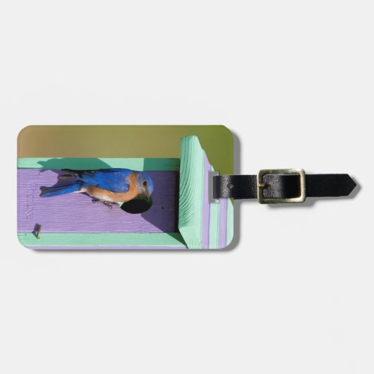 Osterblume Gepäckanhänger (Vorderseite horizontal)