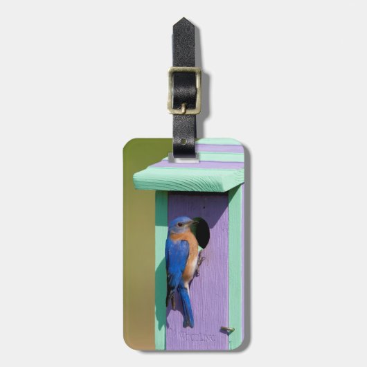 Osterblume Gepäckanhänger (Vorderseite vertikal)