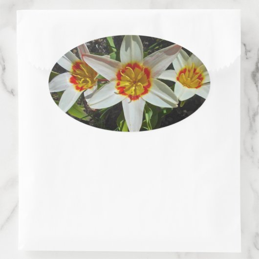 OsterBlume Ovaler Aufkleber (Tasche)