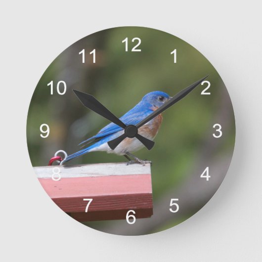 Osterblume Runde Wanduhr (Vorderseite)