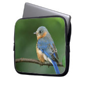 Osterblume, Sialia sialis Laptopschutzhülle (Vorderseite Links)