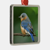 Osterblume, Sialia sialis Ornament Aus Metall (Rechts)