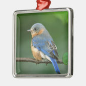 Osterblume, Sialia sialis Ornament Aus Metall (Links)