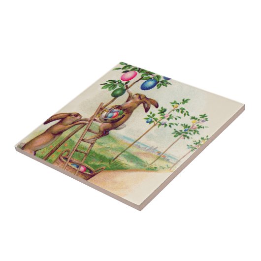 Osterblütenblasser Eierbaum Fliese (Seite)