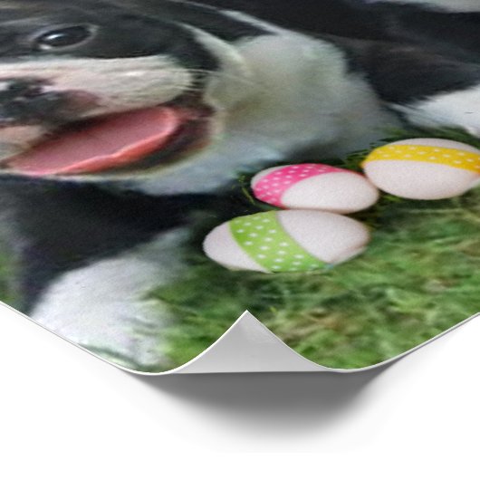 Osterbostoner Terrier Poster (Ecke)