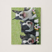 Osterbostoner Terrier Puzzle (Vertikal)