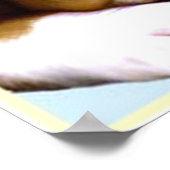 Osterboxer Welpenposter Poster (Ecke)