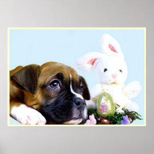 Osterboxer Welpenposter Poster