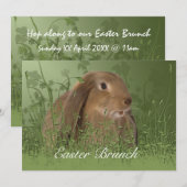 Osterbraun-Rabbit-Brunch-Einladung Einladung (Vorne/Hinten)