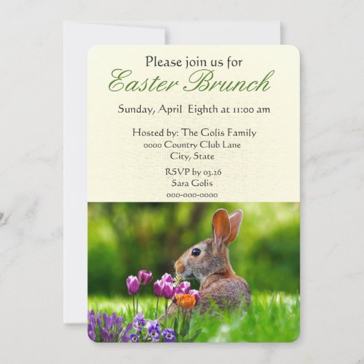Osterbrunch mit Wild Rabbit Holiday Einladung (Vorderseite)