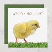 Osterbrunch-Platz 5,25 Zoll x 5,25 Zoll Einladunge Einladung (Vorne/Hinten)