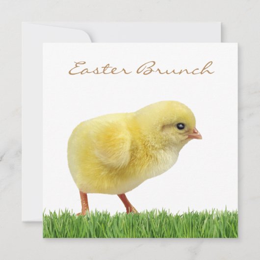 Osterbrunch-Platz 5,25 Zoll x 5,25 Zoll Einladunge Einladung (Vorderseite)