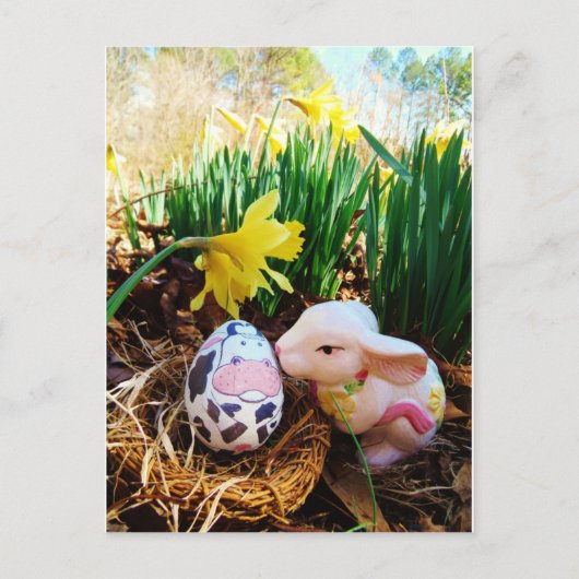 Osterbrunneneier Feiertagspostkarte (Vorderseite)