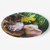 Osterbrunneneier Pappteller (Schrägansicht)