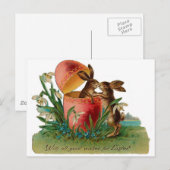 Osterbunny Kiss Vintag Feiertagspostkarte (Vorne/Hinten)