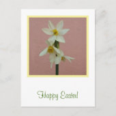 Osterdarm Postkarte (Vorderseite)