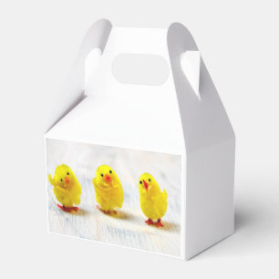 Osterdekoration - Küken in Folge Geschenkschachtel