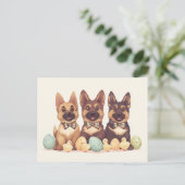 Osterdeutsche Schäferhunde Postkarte (Stehend Vorderseite)