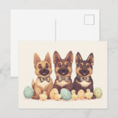 Osterdeutsche Schäferhunde Postkarte (Vorne/Hinten)
