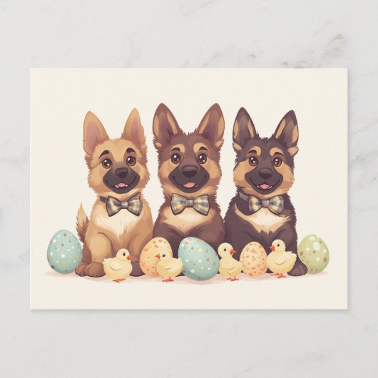 Osterdeutsche Schäferhunde Postkarte (Vorderseite)
