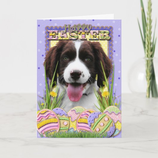 Osterei-Plätzchen - englischer SpringerSpaniel Feiertagskarte (Vorderseite)