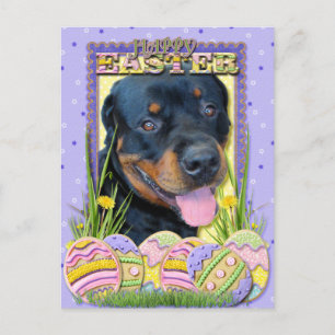 Osterei-Plätzchen - Rottweiler - Harley Feiertagspostkarte