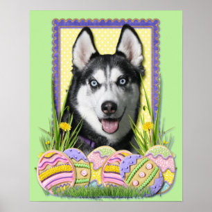 Osterei-Plätzchen - sibirischer Husky Poster