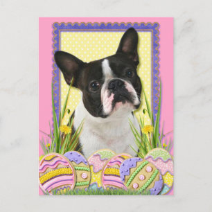 Ostereier - Boston Terrier Feiertagspostkarte