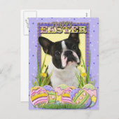 Ostereier - Boston Terrier Feiertagspostkarte (Vorne/Hinten)