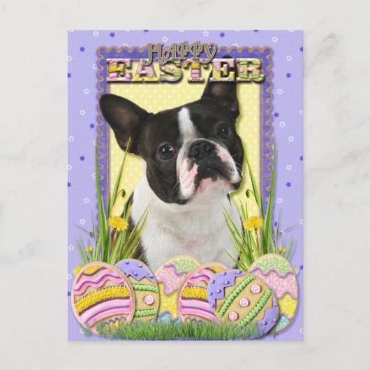 Ostereier - Boston Terrier Feiertagspostkarte (Vorderseite)