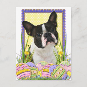 Ostereier - Boston Terrier Feiertagspostkarte