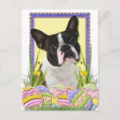 Ostereier - Boston Terrier Feiertagspostkarte (Vorderseite)