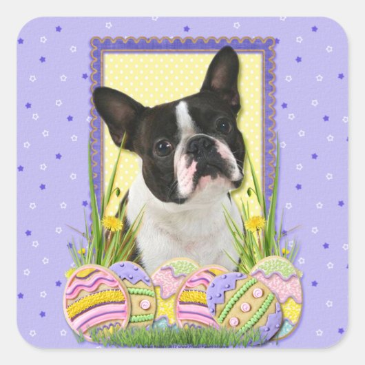 Ostereier - Boston Terrier Quadratischer Aufkleber (Vorderseite)