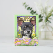 Ostereier - Chihuahua Feiertagspostkarte (Stehend Vorderseite)