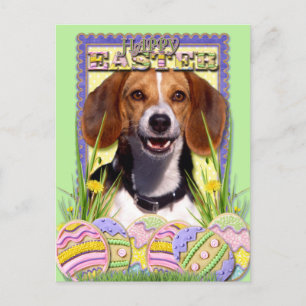 Ostereier-Cookies - Beagle Feiertagspostkarte