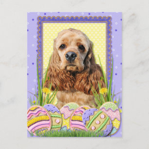 Ostereier-Cookies - Cocker Spaniel Feiertagspostkarte