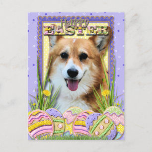Ostereier-Cookies - Corgi Feiertagspostkarte