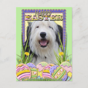 Ostereier-Cookies - Old English Sheepdog Feiertagspostkarte
