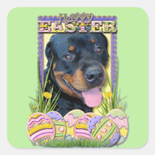 Ostereier-Cookies - Rottweiler - Harley Quadratischer Aufkleber