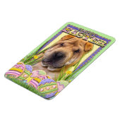 Ostereier-Cookies - Shar Pei Magnet (Linke Seite)