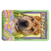 Ostereier-Cookies - Shar Pei Magnet (Horizontal)