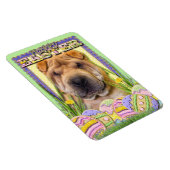 Ostereier-Cookies - Shar Pei Magnet (Rechte Seite)