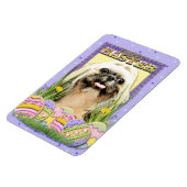 Ostereier-Cookies - Shih Tzu - Opal Magnet (Linke Seite)