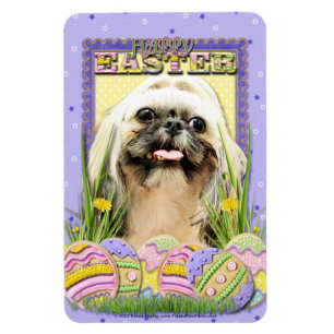 Ostereier-Cookies - Shih Tzu - Opal Magnet
