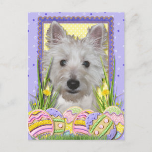Ostereier-Cookies - West Highland Terrier - Tank Feiertagspostkarte